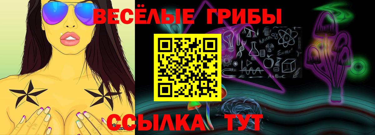 Нефтекамск  Псилоцибиновые грибы GOLDEN TEACHER  Вход с VPN  где можно купить   Псилоцибиновые грибы MAGIC MUSHROOMS 